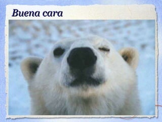 Buena cara