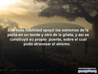 Con toda habilidad apoyó los extremos de la pajita en un borde y otro de la grieta, y así se construyó su propio  puente, sobre el cual pudo atravesar el abismo.  