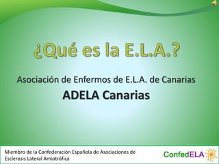 Asociación de Enfermos de E.L.A. de Canarias
ADELA Canarias
Miembro de la Confederación Española de Asociaciones de
Esclerosis Lateral Amiotrófica
 