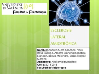 ESCLEROSIS 
LATERAL 
AMIOTRÓFICA 
Nombre: Andrea Mora Sánchez, Neus 
Rosa Rodrigo, Alberto Bronchal Sánchez, 
Blanca Cabeza Melendre, Elisa Sánchez 
Moreno 
Asignatura: Anatomía Humana II 
Curso: 2014-2015 
Facultad de Fisioterapia 
 