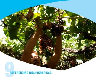 9REFERENCIAS BIBLIOGRÁFICAS
 