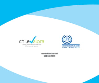 Elaboración del  Analisis Funcional - Chile Valora