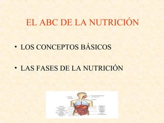 EL ABC DE LA NUTRICIÓN
• LOS CONCEPTOS BÁSICOS
• LAS FASES DE LA NUTRICIÓN

 