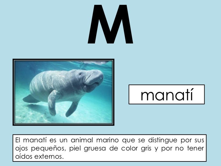 El Abc De Los Animales 1