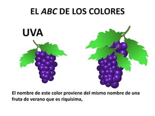 UVA
EL ABC DE LOS COLORES
El nombre de este color proviene del mismo nombre de una
fruta de verano que es riquísima,
 