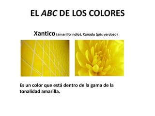 Xantico(amarillo indio), Xanadu (gris verdoso)
EL ABC DE LOS COLORES
Es un color que está dentro de la gama de la
tonalidad amarilla.
 