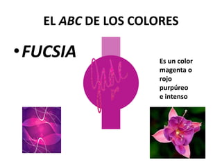 EL ABC DE LOS COLORES
•FUCSIA Es un color
magenta o
rojo
purpúreo
e intenso
 