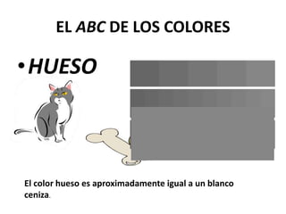 EL ABC DE LOS COLORES
•HUESO
El color hueso es aproximadamente igual a un blanco
ceniza.
 