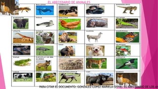 EL ABECEDARIO DE ANIMALES | PPTX