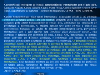 PróximoAnterior
Características biológicas de células hematopoiéticas transfectadas com o gene egfp.
Leonardo Augusto Karam Teixeira, Cecília Matte Fricke, Camila Ilgenfritz e Nance Beyer
Nardi. Departamento de Genética – Instituto de Biociências, UFRGS – Porto Alegre/RS.
Células hematopoiéticas estão sendo intensamente investigadas devido a seu potencial
como alvo de terapia gênica. Tem sido mostrado entretanto que a transferência de genes
exógenos pode alterar biologicamente as células alvo, diminuindo sua capacidade de
proliferação e diferenciação. O presente trabalho teve como objetivo a análise das
características biológicas de células da linhagem hematopoiética K562, previamente
transfectadas com o gene repórter egfp (enhanced green fluorescent protein), cuja
expressão é detectada por citometria de fluxo. Células K562 transfectadas ou normais
foram cultivadas em diferentes condições, e comparadas com relação a diferentes
parâmetros que incluiram a expressão de marcadores de superfície. Os principais resultados
encontrados foram: (1) quando cultivadas na ausência de pressão seletiva, a expressão do
gene repórter mostrou um rápido declínio; (2) células K562 transfectadas apresentaram uma
capacidade mitótica diminuída quando co-cultivadas com células K562 normais, em
diferentes concentrações; e (3) os níveis das moléculas de adesão CD11c, CD31 (baixo) e
CD49e (alto) não foram afetados pela transfecção, enquanto a baixa expressão dos
marcadores CD62L e CD117 mostraram uma tendência a aumentar nas células
transfectadas. Estes resultados mostram que dois dos principais problemas dos protocolos
de terapia gênica, manutenção da expressão do transgene e expansão das células
transfectadas, podem ser analisados para correção in vitro.
Apoio: CNPq, FINEP
 