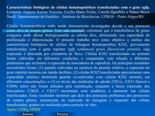 PróximoAnterior
Características biológicas de células hematopoiéticas transfectadas com o gene egfp.
Leonardo Augusto Karam Teixeira, Cecília Matte Fricke, Camila Ilgenfritz e Nance Beyer
Nardi. Departamento de Genética – Instituto de Biociências, UFRGS – Porto Alegre/RS.
Células hematopoiéticas estão sendo intensamente investigadas devido a seu potencial
como alvo de terapia gênica. Tem sido mostrado entretanto que a transferência de genes
exógenos pode alterar biologicamente as células alvo, diminuindo sua capacidade de
proliferação e diferenciação. O presente trabalho teve como objetivo a análise das
características biológicas de células da linhagem hematopoiética K562, previamente
transfectadas com o gene repórter egfp (enhanced green fluorescent protein), cuja
expressão é detectada por citometria de fluxo. Células K562 transfectadas ou normais
foram cultivadas em diferentes condições, e comparadas com relação a diferentes
parâmetros que incluiram a expressão de marcadores de superfície. Os principais resultados
encontrados foram: (1) quando cultivadas na ausência de pressão seletiva, a expressão do
gene repórter mostrou um rápido declínio; (2) células K562 transfectadas apresentaram uma
capacidade mitótica diminuída quando co-cultivadas com células K562 normais, em
diferentes concentrações; e (3) os níveis das moléculas de adesão CD11c, CD31 (baixo) e
CD49e (alto) não foram afetados pela transfecção, enquanto a baixa expressão dos
marcadores CD62L e CD117 mostraram uma tendência a aumentar nas células
transfectadas. Estes resultados mostram que dois dos principais problemas dos protocolos
de terapia gênica, manutenção da expressão do transgene e expansão das células
transfectadas, podem ser analisados para correção in vitro.
Apoio: CNPq, FINEP
 