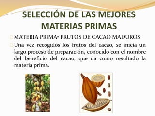 SELECCIÓN DE LAS MEJORES 
MATERIAS PRIMAS 
MATERIA PRIMA• FRUTOS DE CACAO MADUROS 
Una vez recogidos los frutos del cacao, se inicia un 
largo proceso de preparación, conocido con el nombre 
del beneficio del cacao, que da como resultado la 
materia prima. 
 