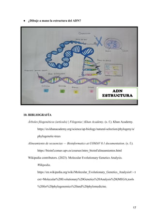 Mega Dna Program ELABORACIÓN DE DENDROGRAMAS A PARTIR DE ARTÍCULOS CIENTÍFICOS ...