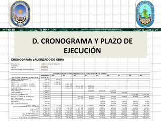 D. CRONOGRAMA Y PLAZO DE
        EJECUCIÓN
 