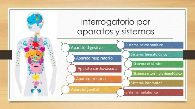 Elaboración de historia clinica