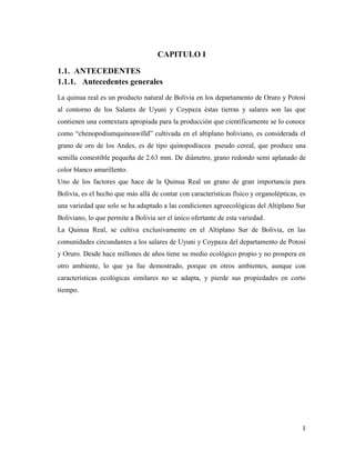 1
CAPITULO I
1.1. ANTECEDENTES
1.1.1. Antecedentes generales
La quinua real es un producto natural de Bolivia en los departamento de Oruro y Potosí
al contorno de los Salares de Uyuni y Coypaza éstas tierras y salares son las que
contienen una contextura apropiada para la producción que científicamente se lo conoce
como “chenopodiumquinoawilld” cultivada en el altiplano boliviano, es considerada el
grano de oro de los Andes, es de tipo quinopodíacea pseudo cereal, que produce una
semilla comestible pequeña de 2.63 mm. De diámetro, grano redondo semi aplanado de
color blanco amarillento.
Uno de los factores que hace de la Quinua Real un grano de gran importancia para
Bolivia, es el hecho que más allá de contar con características físico y organolépticas, es
una variedad que solo se ha adaptado a las condiciones agroecológicas del Altiplano Sur
Boliviano, lo que permite a Bolivia ser el único ofertante de esta variedad.
La Quinua Real, se cultiva exclusivamente en el Altiplano Sur de Bolivia, en las
comunidades circundantes a los salares de Uyuni y Coypaza del departamento de Potosí
y Oruro. Desde hace millones de años tiene su medio ecológico propio y no prospera en
otro ambiente, lo que ya fue demostrado, porque en otros ambientes, aunque con
características ecológicas similares no se adapta, y pierde sus propiedades en corto
tiempo.
 