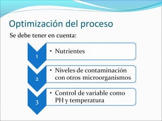 Optimización del proceso
Se debe tener en cuenta:
 
