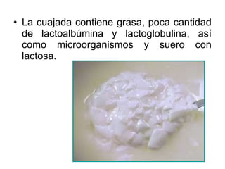 La cuajada contiene grasa, poca cantidad de lactoalbúmina y lactoglobulina, así como microorganismos y suero con lactosa. 