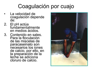 Coagulación por cuajo La velocidad de coagulación depende de: El pH actúa fundamentalmente en medios ácidos. Contenido en sales. Para la floculación de las miscelas de paracaseinato son necesarios los iones de calcio, por ello, en la preparación de la leche se adiciona cloruro de calcio. 
