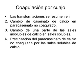 Coagulación por cuajo Las transformaciones se resumen en: Cambio de caseinato de calcio en paracaseinato no coagulado. Cambio de una parte de las sales insolubles de calcio en sales solubles. Precipitación del paracaseinato de calcio no coagulado por las sales solubles de calcio. 