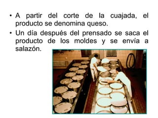 A partir del corte de la cuajada, el producto se denomina queso.  Un día después del prensado se saca el producto de los moldes y se envía a salazón. 