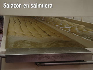 Salazón en salmuera 