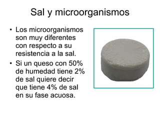 Sal y microorganismos Los microorganismos son muy diferentes con respecto a su resistencia a la sal. Si un queso con 50% de humedad tiene 2% de sal quiere decir que tiene 4% de sal en su fase acuosa. 