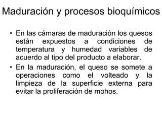 Maduración y procesos bioquímicos En las cámaras de maduración los quesos están expuestos a condiciones de temperatura y humedad variables de acuerdo al tipo del producto a elaborar. En la maduración, el queso se somete a operaciones como el volteado y la limpieza de la superficie externa para evitar la proliferación de mohos. 