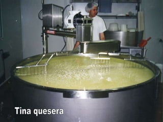Tina quesera 
