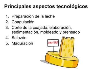 Principales aspectos tecnológicos Preparación de la leche Coagulación Corte de la cuajada, elaboración, sedimentación, moldeado y prensado Salazón Maduración 