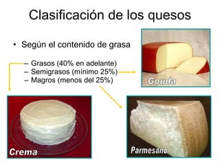 Clasificación de los quesos Según el contenido de grasa Grasos (40% en adelante) Semigrasos (mínimo 25%) Magros (menos del 25%) Crema Gouda Parmesano 