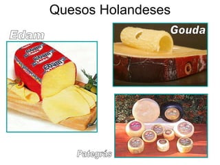 Quesos Holandeses Edam Pategrás Gouda 