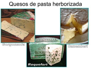 Quesos de pasta herborizada Gorgonzola Roquefort Camembert 