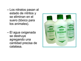 Los nitratos pasan al estado de nitritos y se eliminan en el suero (tóxico para los animales). El agua oxigenada se destruye agregando una cantidad precisa de catalasa. 