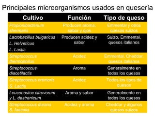 Principales microorganismos usados en quesería Cheddar y algunos quesos suizos Acidez y aroma Streptococcus durans  S. faecalis Generalmente en todos los quesos Aroma y sabor Leuconostoc citrovorum y L. destranicum Todos los tipos de quesos Acidez Streptococcus cremoris S. Lactis Generalmente en todos los quesos Aroma Streptococcus diacetilactis Emmental, Cheddar, quesos italianos Acidez Streptococcus thermophilus Suizo, Emmental, quesos italianos Producen acidez y sabor Lactobacillus bulgaricus L. Helveticus L. Lactis Emmental y otros quesos suizos Producen aroma, sabor y ojos Propionibacterium shermanii Tipo de queso Función Cultivo 