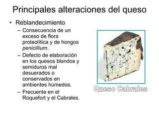 Principales alteraciones del queso Reblandecimiento Consecuencia de un exceso de flora proteolítica y de hongos  penicillium . Defecto de elaboración en los quesos blandos y semiduros mal desuerados o conservados en ambientes húmedos. Frecuente en el Roquefort y el Cabrales. Queso Cabrales 