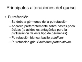 Principales alteraciones del queso Putrefacción Se debe a gérmenes de la putrefacción Aparece preferentemente sobre pastas poco ácidas (la acidez es antagónica para la proliferación de este tipo de gérmenes) Putrefacción blanca: bacilo  putrificus Putrefacción gris:  Bacterium proteolíticum 