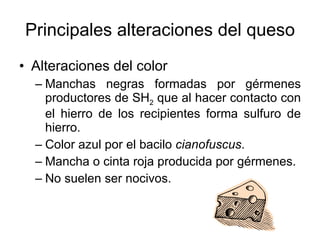 Principales alteraciones del queso Alteraciones del color Manchas negras formadas por gérmenes productores de SH 2  que al hacer contacto con el hierro de los recipientes forma sulfuro de hierro. Color azul por el bacilo  cianofuscus . Mancha o cinta roja producida por gérmenes. No suelen ser nocivos. 