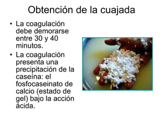 Obtención de la cuajada La coagulación debe demorarse entre 30 y 40 minutos. La coagulación presenta una precipitación de la caseína: el fosfocaseinato de calcio (estado de gel) bajo la acción ácida. 