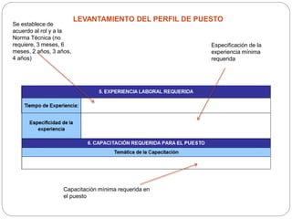 LEVANTAMIENTO DEL PERFIL DE PUESTO
Se establece de
acuerdo al rol y a la
Norma Técnica (no
requiere, 3 meses, 6
meses, 2 años, 3 años,
4 años)
Especificación de la
experiencia mínima
requerida
Capacitación mínima requerida en
el puesto
 