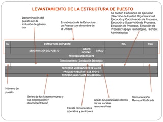 LEVANTAMIENTO DE LA ESTRUCTURA DE PUESTO
Número de
puesto
Denominación del
puesto con la
inclusión de género
o/a
Encabezado de la Estructura
de Puesto con el nombre de
la Unidad
Series de los Macro proceso y
sus segregación y
desconcentración
Remuneración
Mensual Unificada
Se dividen 8 opciones de ejecución
(Dirección de Unidad Organizacional,
Ejecución y Coordinación de Procesos,
Ejecución y Supervisión de Procesos,
Ejecución de Procesos, Ejecución de
Proceso y apoyo Tecnológico, Técnico,
Administrativo
Grado ocupacionales dentro
de las escalas
remunerativas
Escala remunerativa
operativa y jerárquica
 