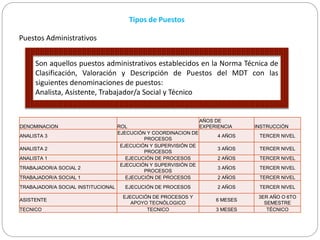 Tipos de Puestos
DENOMINACION ROL
AÑOS DE
EXPERIENCIA INSTRUCCIÓN
ANALISTA 3
EJECUCIÓN Y COORDINACION DE
PROCESOS
4 AÑOS TERCER NIVEL
ANALISTA 2
EJECUCIÓN Y SUPERVISIÓN DE
PROCESOS
3 AÑOS TERCER NIVEL
ANALISTA 1 EJECUCIÓN DE PROCESOS 2 AÑOS TERCER NIVEL
TRABAJADOR/A SOCIAL 2
EJECUCIÓN Y SUPERVISIÓN DE
PROCESOS
3 AÑOS TERCER NIVEL
TRABAJADOR/A SOCIAL 1 EJECUCIÓN DE PROCESOS 2 AÑOS TERCER NIVEL
TRABAJADOR/A SOCIAL INSTITUCIONAL EJECUCIÓN DE PROCESOS 2 AÑOS TERCER NIVEL
ASISTENTE
EJECUCIÓN DE PROCESOS Y
APOYO TECNÓLOGICO
6 MESES
3ER AÑO O 6TO
SEMESTRE
TECNICO TECNICO 3 MESES TÉCNICO
Puestos Administrativos
Son aquellos puestos administrativos establecidos en la Norma Técnica de
Clasificación, Valoración y Descripción de Puestos del MDT con las
siguientes denominaciones de puestos:
Analista, Asistente, Trabajador/a Social y Técnico
 