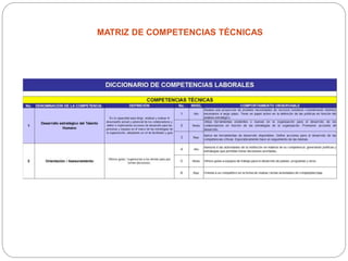 MATRIZ DE COMPETENCIAS TÉCNICAS
 