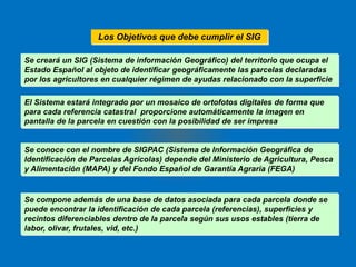 Los Objetivos que debe cumplir el SIG 
Se creará un SIG (Sistema de información Geográfico) del territorio que ocupa el 
Estado Español al objeto de identificar geográficamente las parcelas declaradas 
por los agricultores en cualquier régimen de ayudas relacionado con la superficie 
El Sistema estará integrado por un mosaico de ortofotos digitales de forma que 
para cada referencia catastral proporcione automáticamente la imagen en 
pantalla de la parcela en cuestión con la posibilidad de ser impresa 
Se conoce con el nombre de SIGPAC (Sistema de Información Geográfica de 
Identificación de Parcelas Agrícolas) depende del Ministerio de Agricultura, Pesca 
y Alimentación (MAPA) y del Fondo Español de Garantía Agraria (FEGA) 
Se compone además de una base de datos asociada para cada parcela donde se 
puede encontrar la identificación de cada parcela (referencias), superficies y 
recintos diferenciables dentro de la parcela según sus usos estables (tierra de 
labor, olivar, frutales, vid, etc.) 
 
