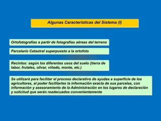Algunas Características del Sistema (I) 
Ortofotografías a partir de fotografías aéreas del terreno 
Parcelario Catastral superpuesto a la ortofoto 
Recintos: según los diferentes usos del suelo (tierra de 
labor, frutales, olivar, viñedo, monte, etc.) 
Se utilizará para facilitar el proceso declarativo de ayudas a superficie de los 
agricultores, al poder facilitarles la información exacta de sus parcelas, con 
información y asesoramiento de la Administración en los lugares de declaración 
y solicitud que serán readecuados convenientemente 
 