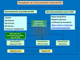 Recopilación de la Documentación Inicial del SIG 
Documentación de partida del SIG 
Catastro 
SIG Oleícola 
SIG Citrícola 
SIG Vitícola 
Control por Teledetección 
Selección de la 
documentación gráfica 
base del SIG 
Digitalización 
Organismos 
responsables 
(FEGA y CCAA) 
Otra Documentación para el SIG 
Mapas topográficos 
Registros agrícolas 
Certificados de forestación 
Obras civiles no catastradas 
Concentración parcelaria 
Documentación 
gráfica de apoyo 
Integración 
Documentación 
alfanumérica 
Documentación 
gráfica para el SIG 
 