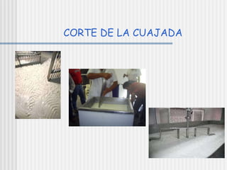 CORTE DE LA CUAJADA 