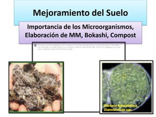 Mejoramiento del Suelo
 Importancia de los Microorganismos,
Elaboración de MM, Bokashi, Compost
 