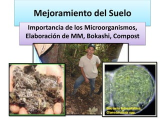Mejoramiento del Suelo
Importancia de los Microorganismos,
Elaboración de MM, Bokashi, Compost
 