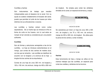 Cuchillas y hachas
Son instrumentos de trabajo que resultan
indispensables para el despiece de la canal. Con su
ayuda se acelera notablemente el troceado del canal,
puesto que permiten el corte de los huesos por sitios
distintos de sus articulaciones o suturas.
Las cuchillas y hachas actúan como cuñas
separadoras. De un fuerte tajo se introduce el filo en
forma de cuña en los huesos, con lo cual estos se
rompen al ser vencida su consistencia por una presión
suficiente.
Cuchillas
Son de formas y estructuras semejantes a las de los
cuchillos. La hoja se introduce estrechándose en el
mango, que consta de dos cachas de madera dura,
con las que se remacha. Las cuchillas se clasifican de
acuerdo con la longitud y la anchura de la hoja y
longitud de las cachas de la empuñadura.
Consta de una hoja de unos 300 mm. de longitud y
100 a 150 mm. de anchura; mango de 400 a 500 mm
de longitud. Se emplea para cortar las vértebras
dorsales de la canal, en especial de terneros y ovejas.
HACHA DE 300 MM
Se caracteriza por tener un hoja de unos 300 a 400
mm. de longitud y de 70 a 100 mm. de anchura;
mango de 250 a 300 mm. de longitud. Se utiliza para
la panza de los cerdos y cortar chuletas.
HACHA DE 100 MM
achas
sta herramienta d o se utiliza en los
ismos trabajos que las cuchillas, en especial para
costillas y vértebras de los bovinos.
H
E e hoja y mang
m
cortar las
Elaboración de Charcutería 9
 